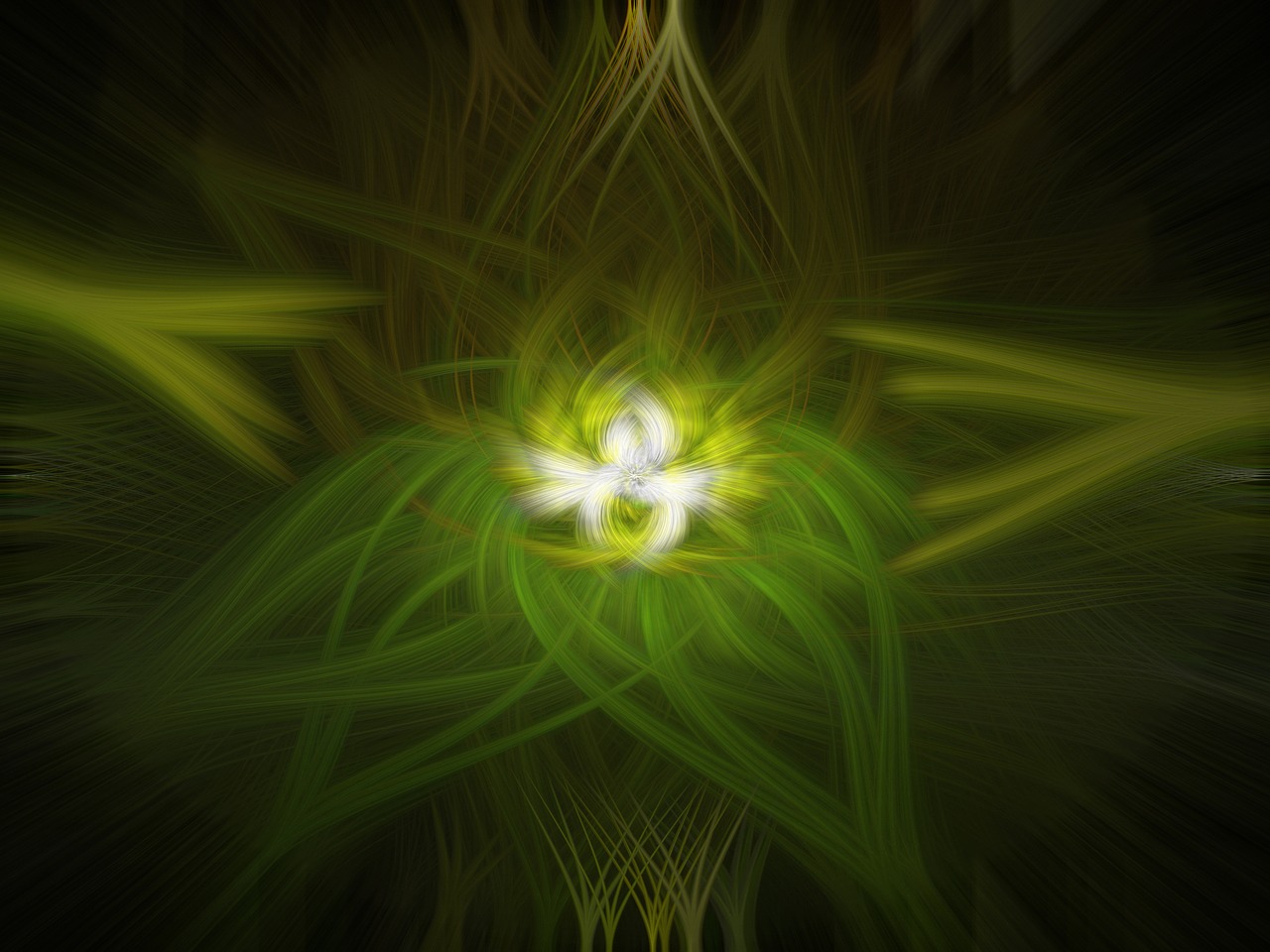 宋民国最新动态,时代变迁下的多元发展之路