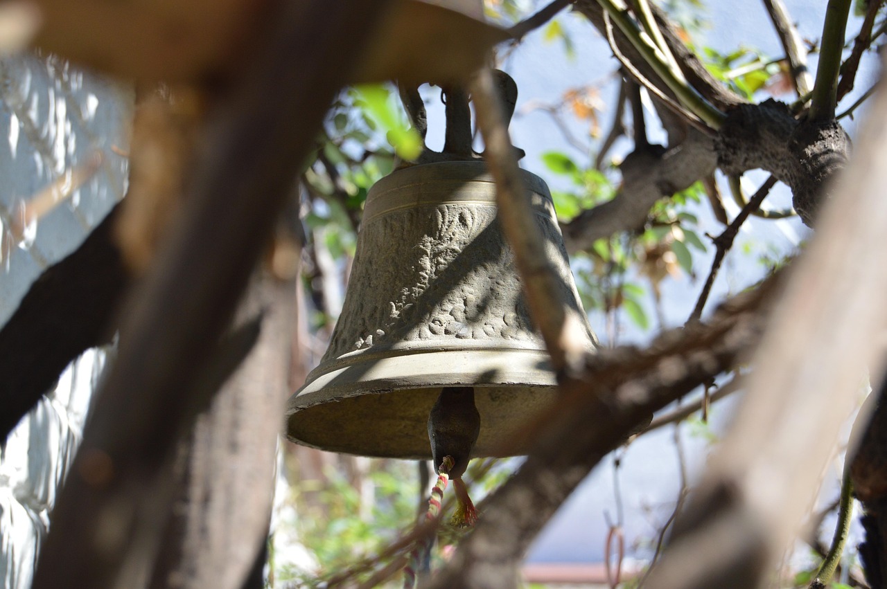 安阳水泥最新报价,市场动态、价格分析与购买建议全解析