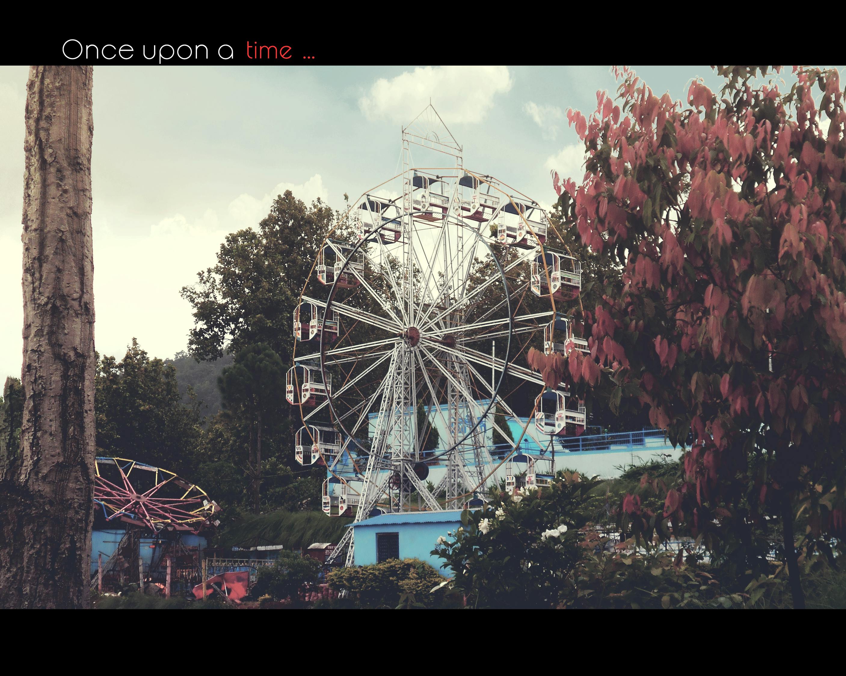 三公最新动态,深化制度改革,促进社会公平与正义的进展观察