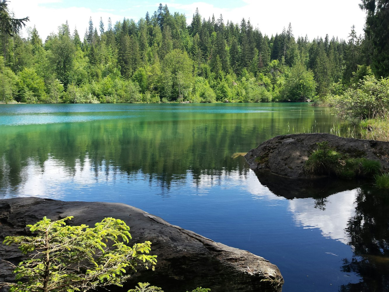 好莱坞会员活动最新动态,探索电影之城的魅力无限