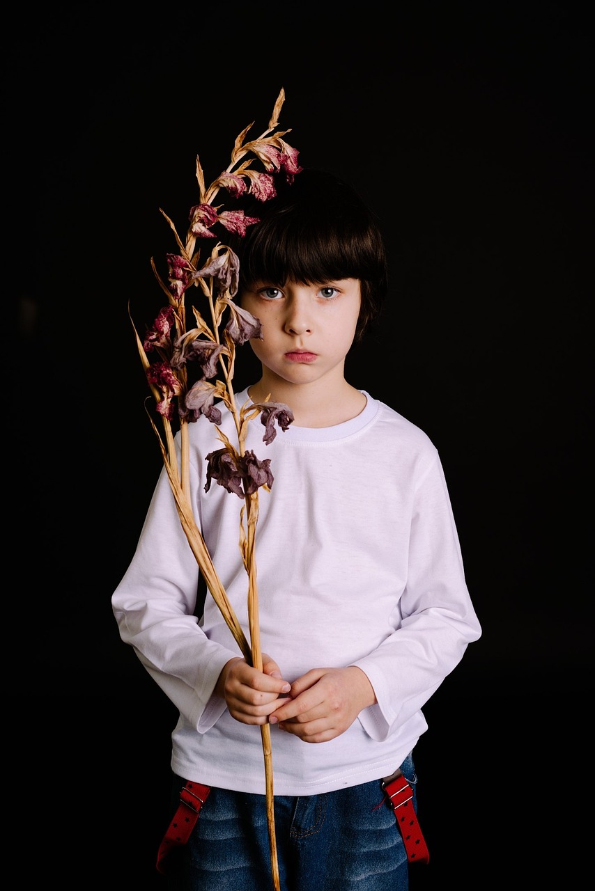 TFBoys最新歌曲，青春活力的音乐魅力绽放