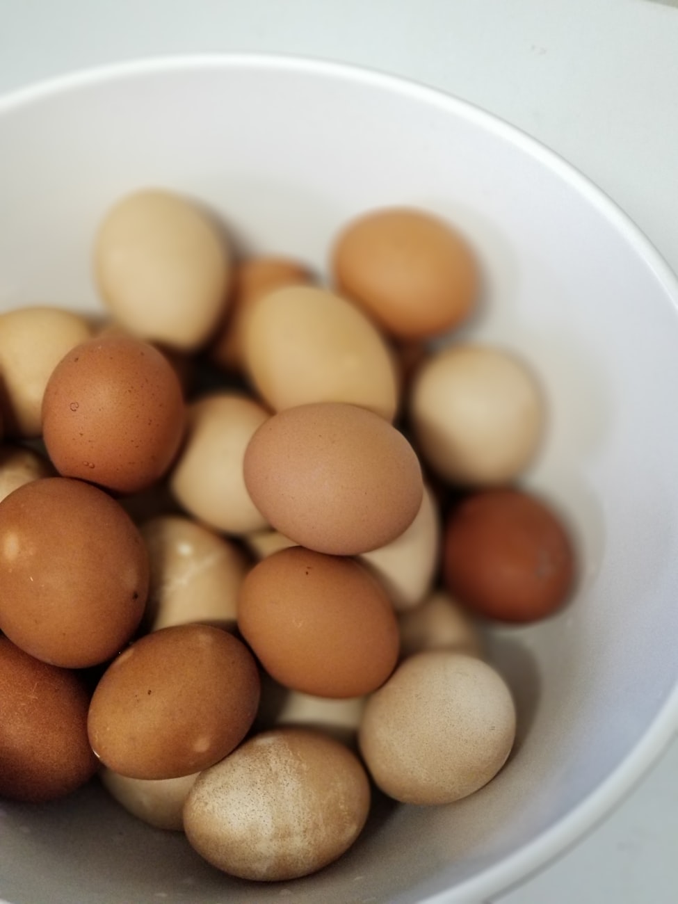 边丝料最新价格动态及市场分析综述