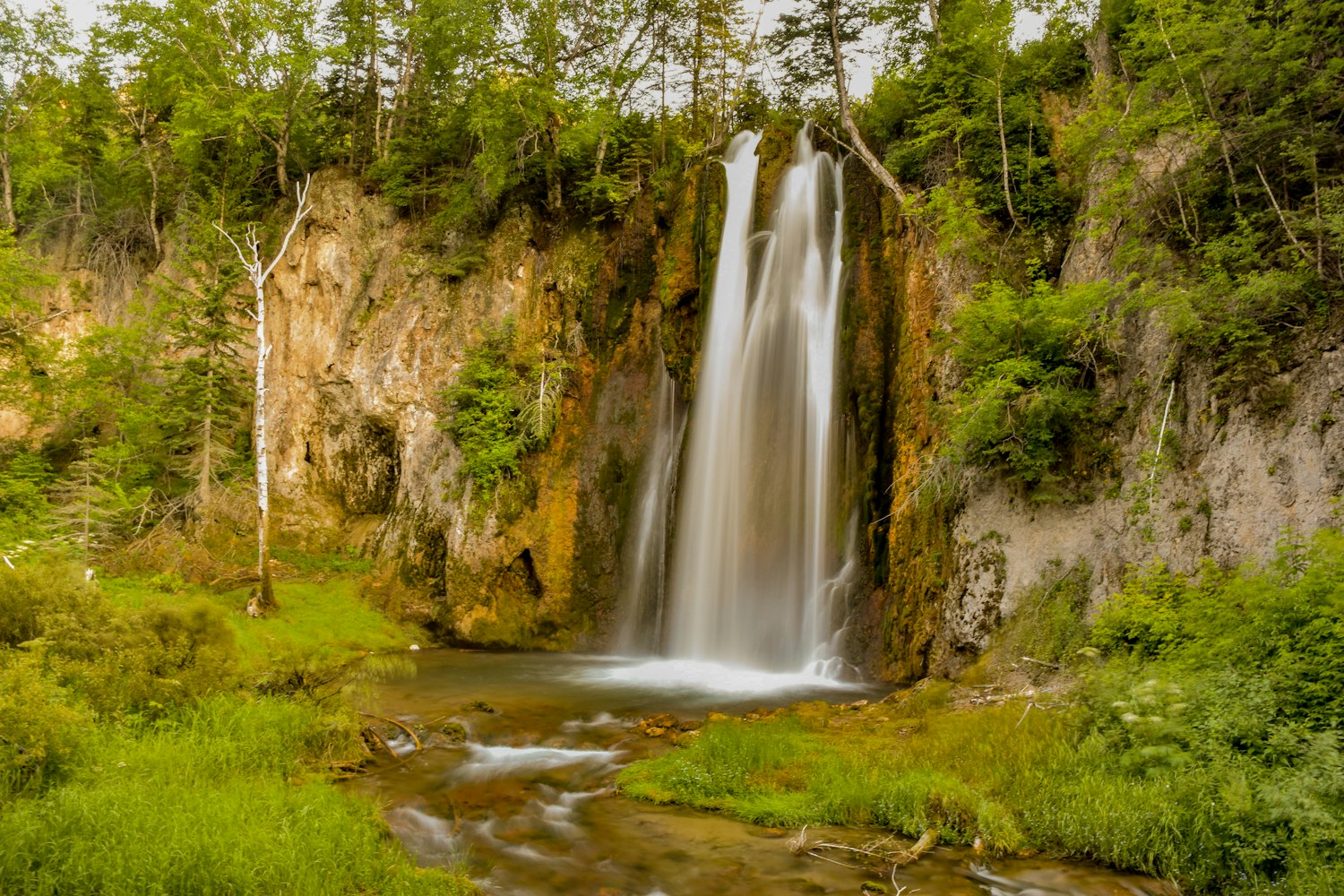 长生生物最新动态,持续创新引领生物技术新篇章,迈向未来