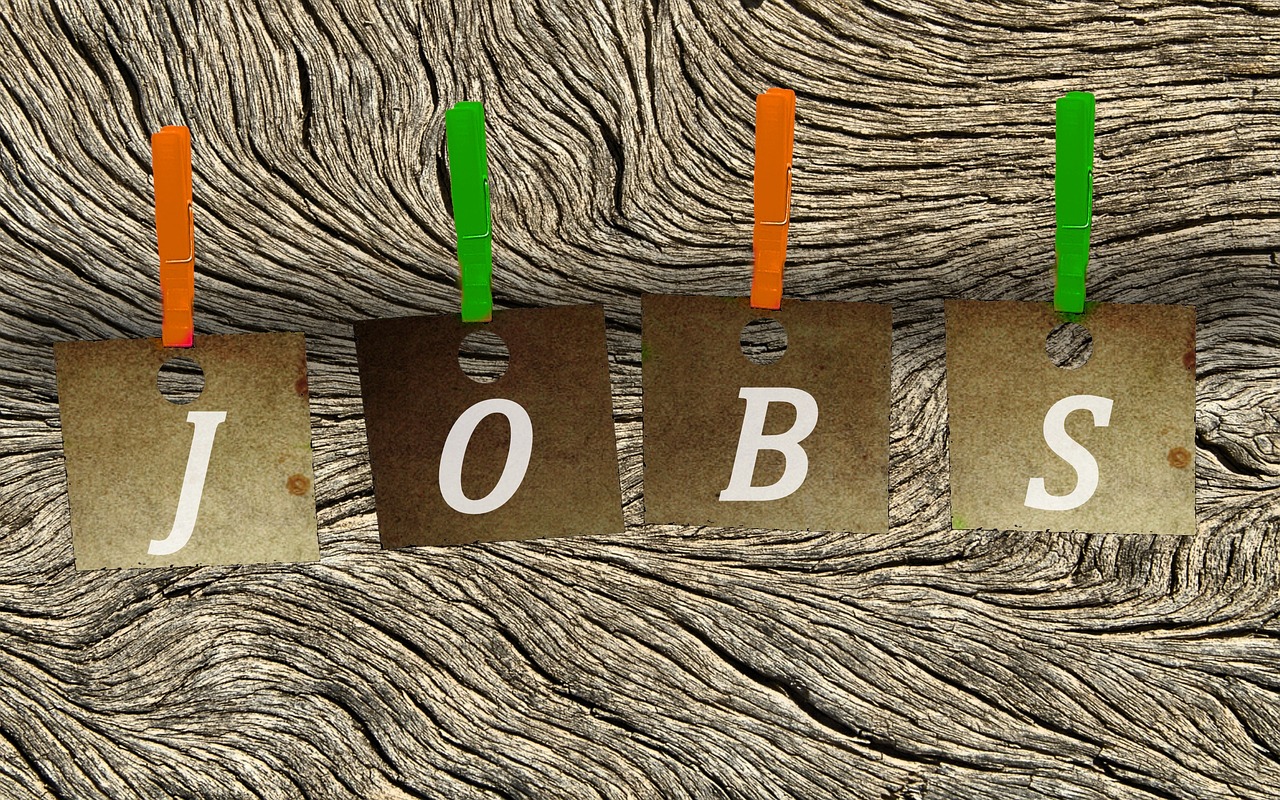 河北最新招聘动态与求职指南