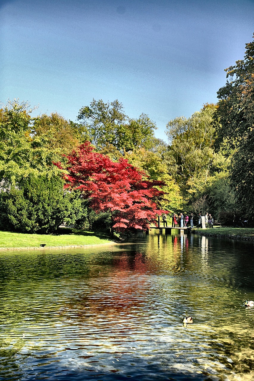 菏泽棚改最新动态，推动城市更新，提升民生福祉