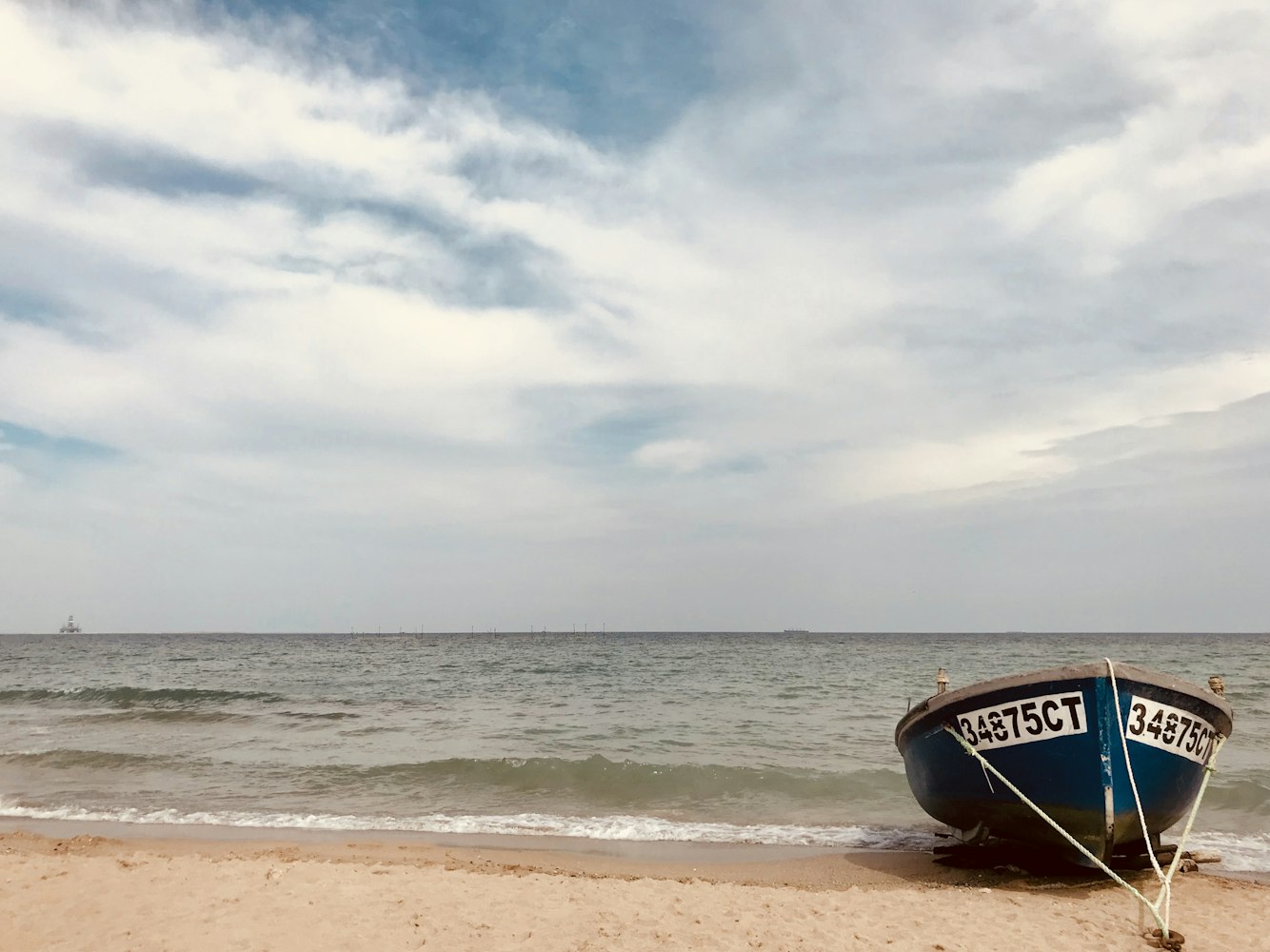 探索海洋奥秘与魅力，大海解说最新视频汇总