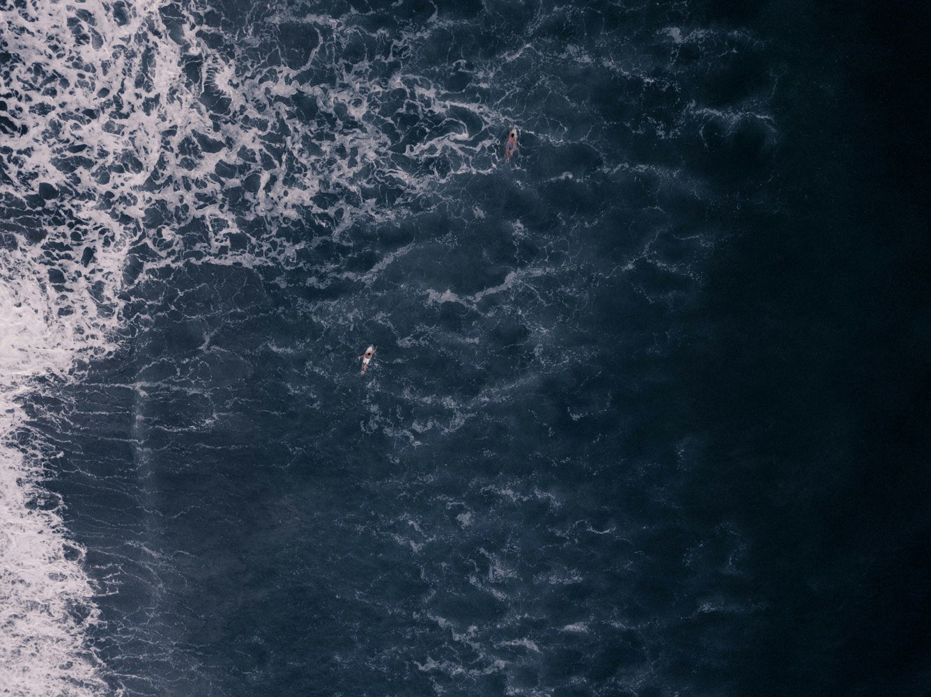 探索海洋奥秘与魅力,大海解说最新视频汇总