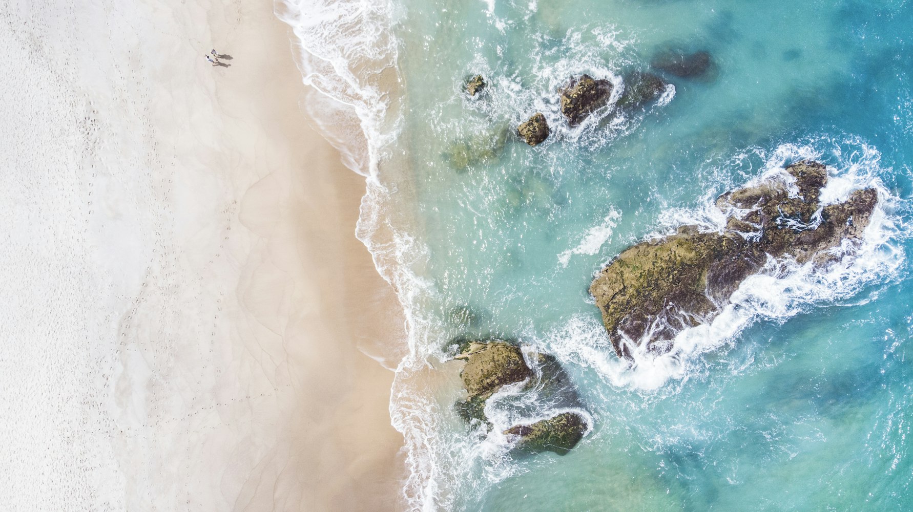 探索海洋奥秘与魅力,大海解说最新视频汇总