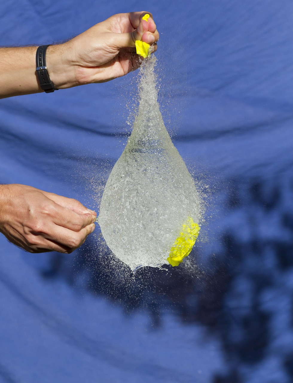 玉环最新新闻动态,发展、影响与关注焦点