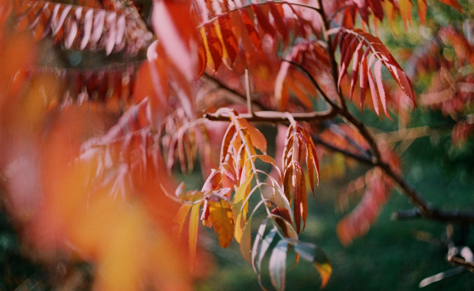 天美最新手游探索游戏新纪元之旅