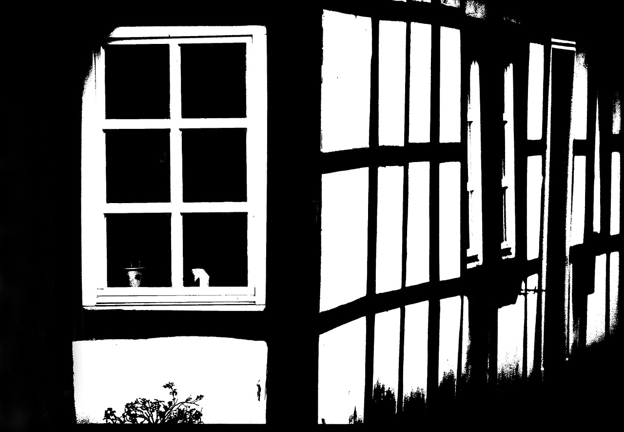 江西遂川最新新闻视频，地方动态的鲜活窗口揭示者