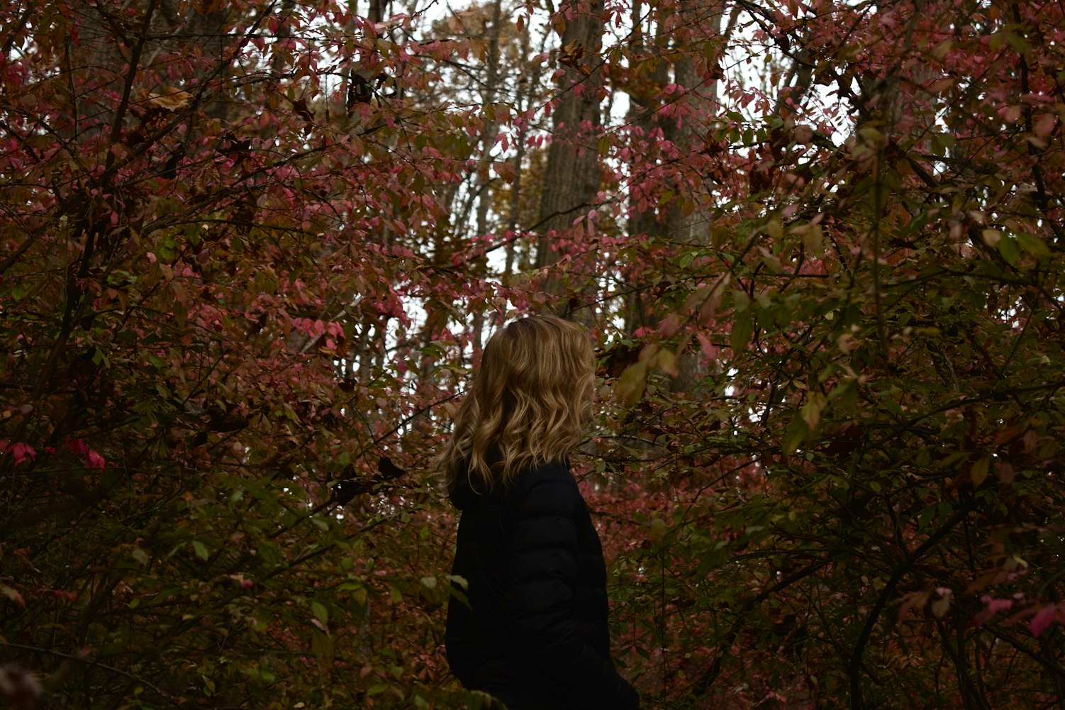 最新早晨问候语,唤醒美好一天的温馨祝福