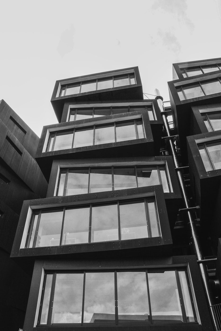 新西兰奥克兰最新房价动态与影响分析