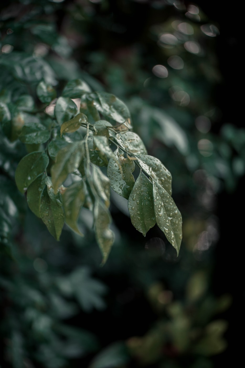 偏关人事最新动态揭秘，变革中的多元视角与深度洞察