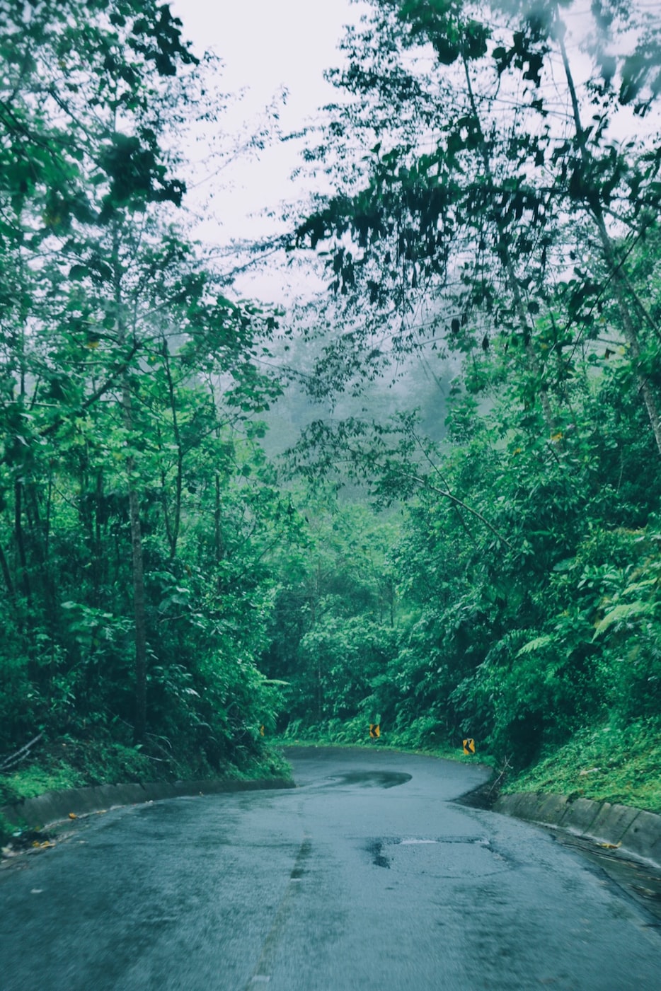 饭冈加奈子最新动态揭秘，探索未知领域，展现全新魅力