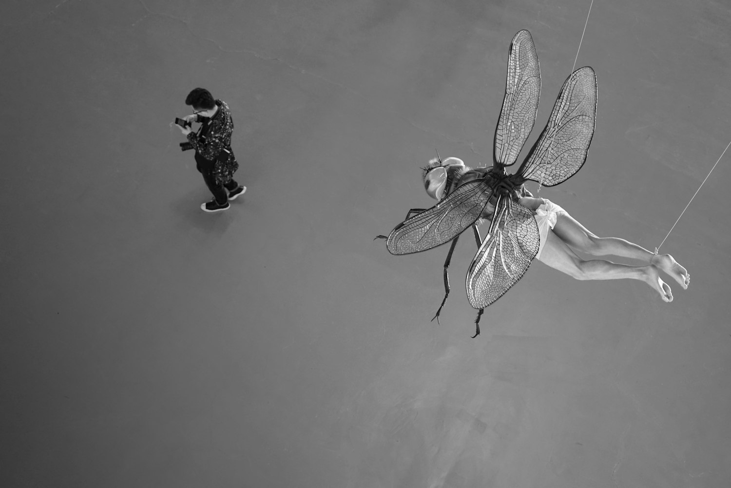 佳源上海小城，最新发展动态与魅力展现