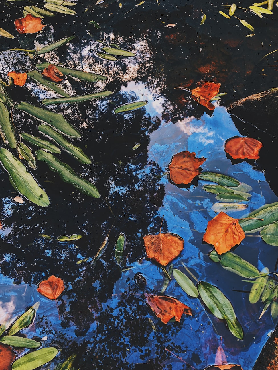 最新全球高清地图版,揭示世界新面貌的宝藏地图!