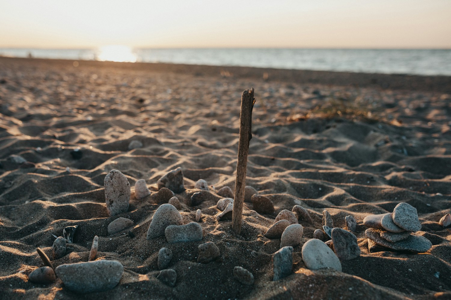 最新法律咨询动态，法律变革与您的权益保障详解