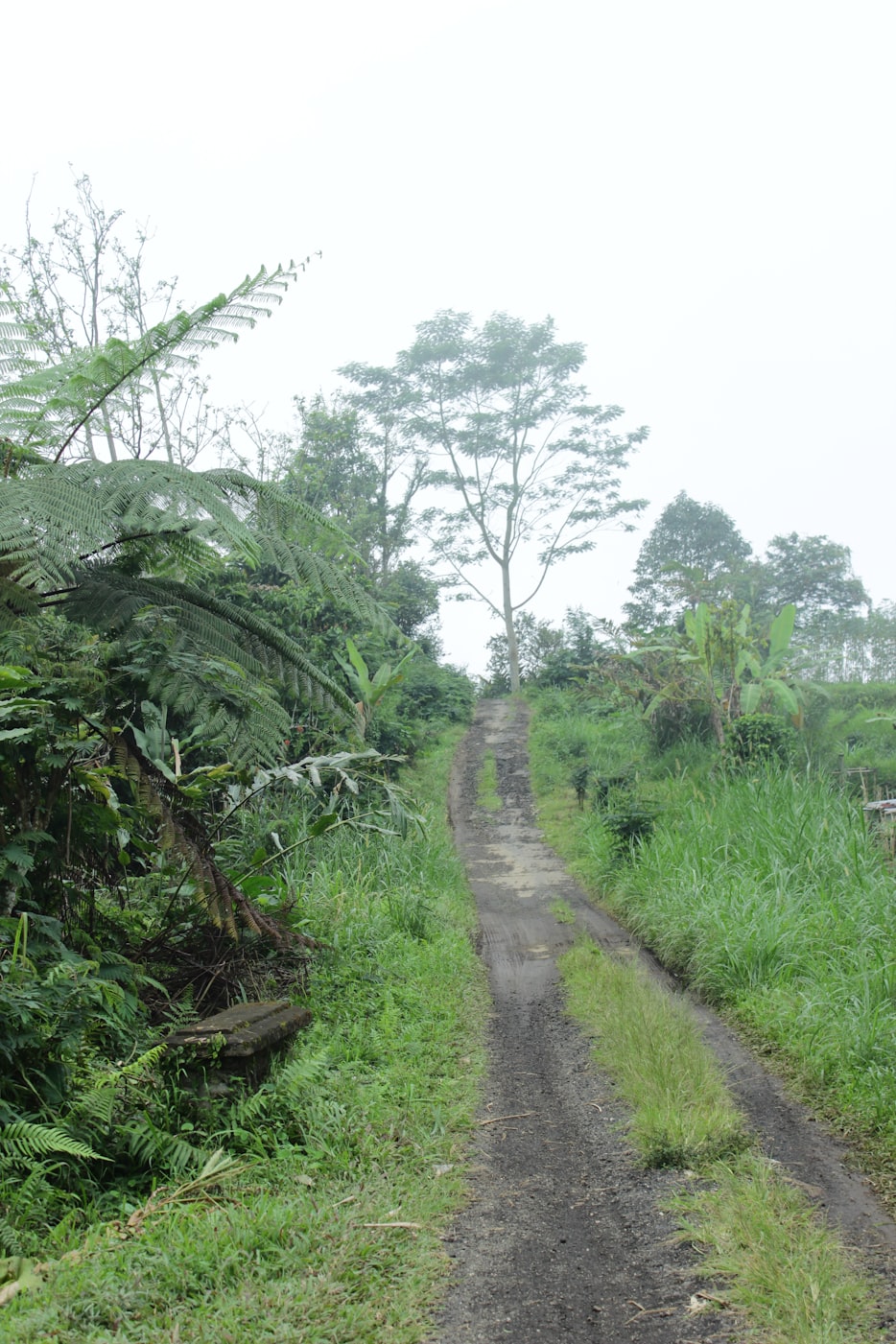 农村扒灰视频揭示乡村生活的真实面貌，最新农村扒灰实录