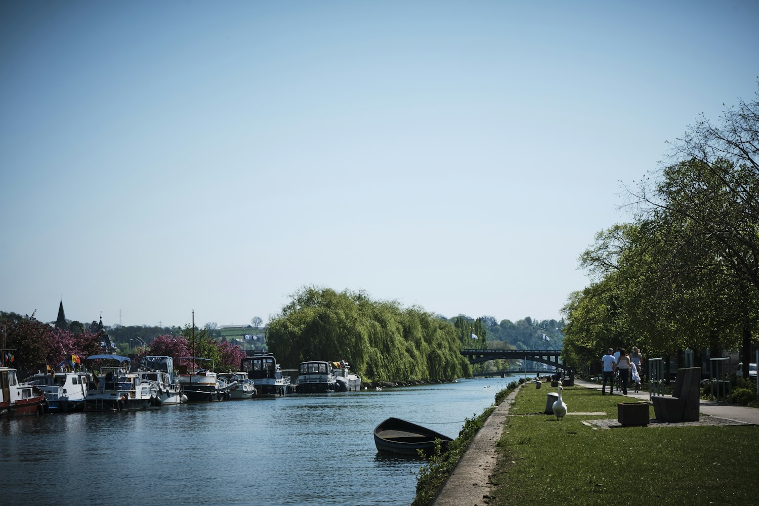 最新船舶拍卖公告概览与市场分析,全面解读拍卖动态及市场趋势
