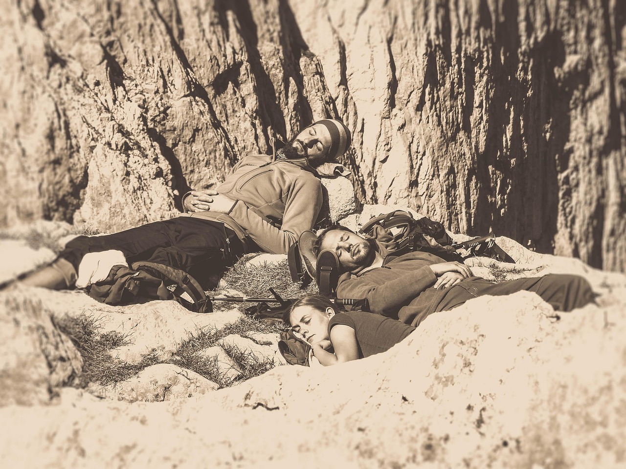 井研最新招聘信息概览，最新岗位与招聘动态一网打尽